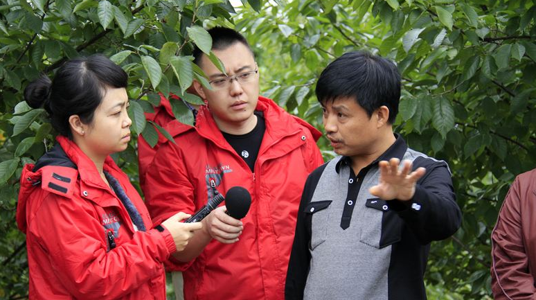 “12580”车辆违章信息与实际情况同步